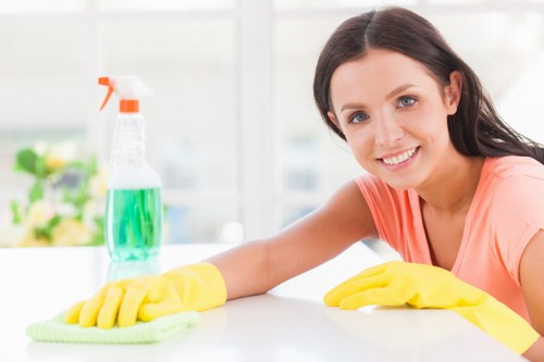 Hot water extraction process used for steam carpet cleaning