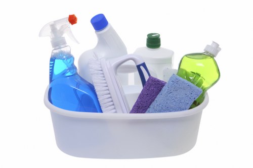 Cleaning supplies and blotting cloth for stain removal