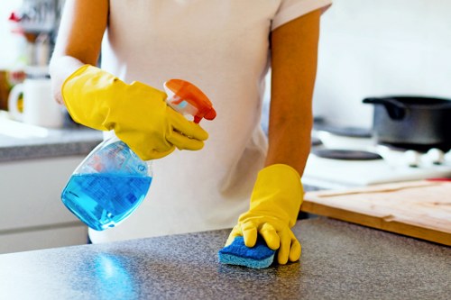 Fresh home after pet stain odour removal